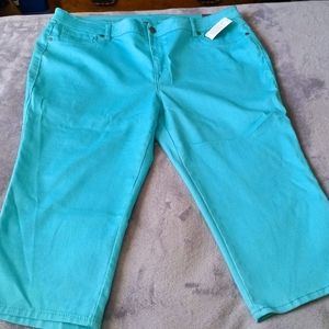 Avenue Capri Pants